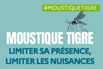 Attention au moustique Tigre
